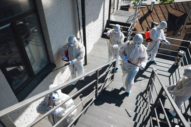Best Crawl Space Mold Remediation  in Casas Adobes, AZ