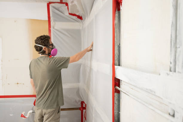 Best Mold Removal for HVAC Installations  in Casas Adobes, AZ