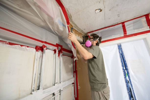 Best Water Damage & Mold Remediation  in Casas Adobes, AZ