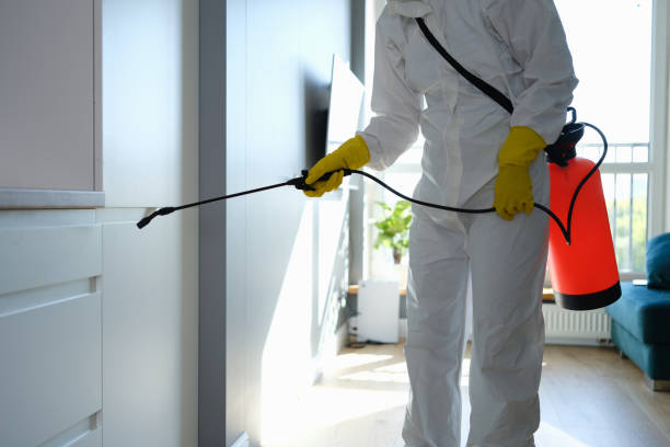 Best Mold Odor Removal Services  in Casas Adobes, AZ