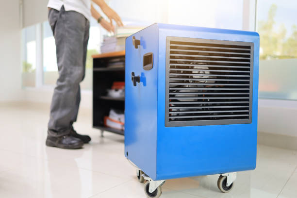 Professional Mold Removal in Casas Adobes, AZ